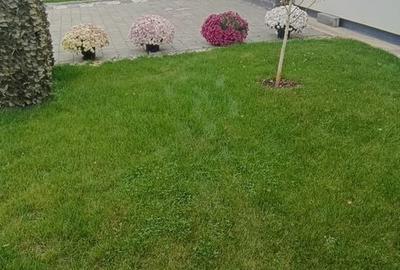 Casa Parter!  3 dorm.+2 bai+2 parcari ! Aproape de centura, Domnesti ! - 13