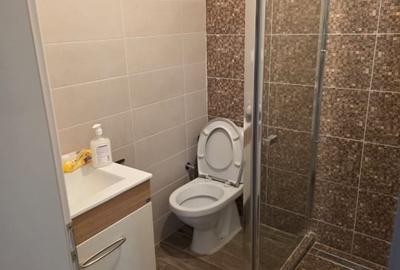 Apartament o camera , ultracentral Iasi - 5