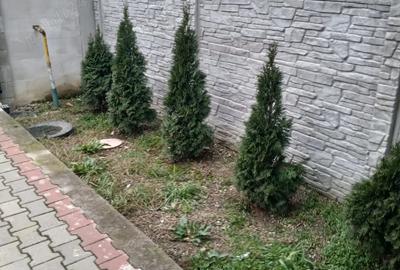 Casă cu Teren 6 Mp în Păulești - 4