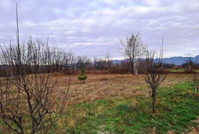 TEREN INTRAVILAN POLOVRAGI - 8