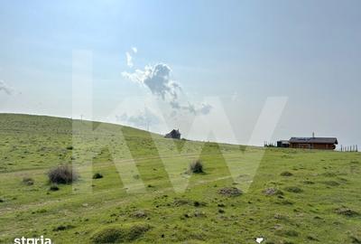 Teren de 1003 mp, în Poplaca - 5