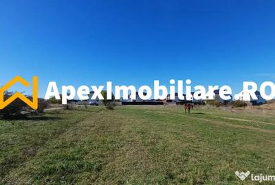 Teren în Corbeanca - 10