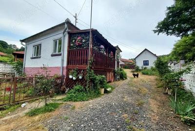 Casa renovata cu teren 7000mp la 19 km de Deva Sat Nojag, Hunedoara - 1