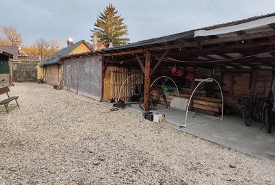 Casă cu Teren 3000 Mp în Grânari - 1