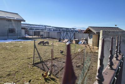 Teren de 500 mp, în Tărlungeni - 12