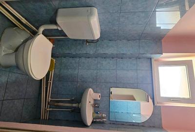 Proprietate multifunctionala, com.D-va Rosie,casa+spatiu comercial+teren - 14