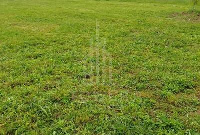 Teren agricol extravilan de 862 mp, în Periferie - 6