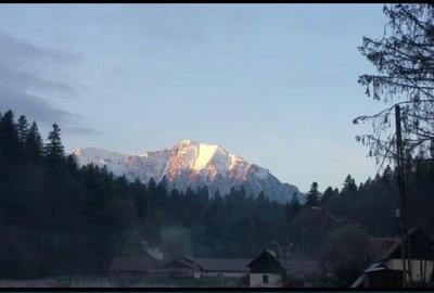 Oportunitate - 6390 mp intravilan Predeal - ideal proiect A Frame - 3