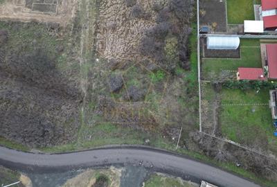 Teren intravilan casa individuala | Mosnita Noua - 2