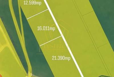 Teren intravilan 50.000mp | Sacalaz | - 1