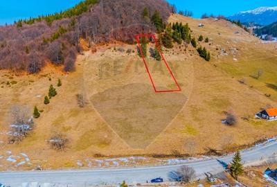 Teren Construcții intravilan de 2028 mp, în Fundata - 8