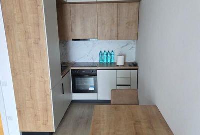 Apartament 2 camere Central Park Etaj 6 53 mp - 11