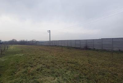 Teren Construcții intravilan de 2500 mp, în Șimnicu de Sus - 4