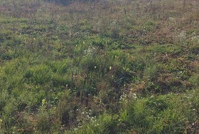 Teren de 721 mp, în Dumbrăvița