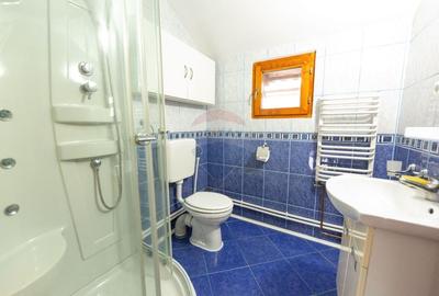 Casa cu 5 dormitoare, foisor, sauna, beci,pod garaj si gradina - 48