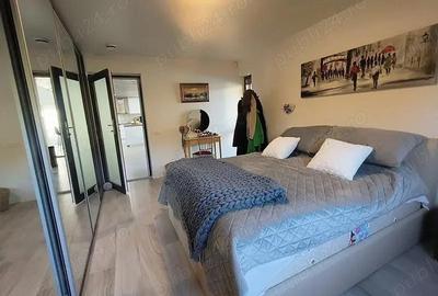 De vanzare Vila de vis in stil suedez cu piscina in Curtea de Arges - 11