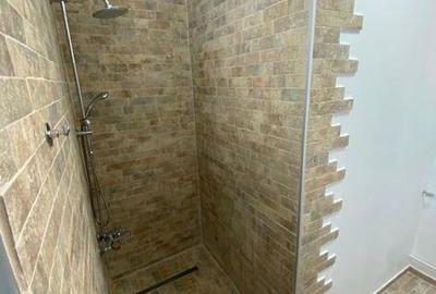 Apartament cu 2 camere în Colentina - 4