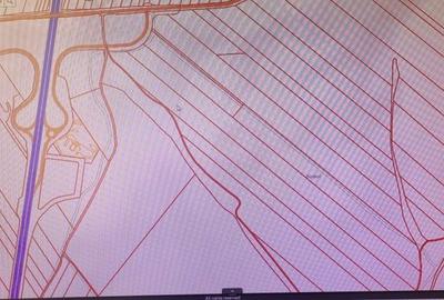 Teren de 100000 mp, în Central - 1