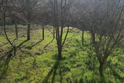 Casă cu Teren 603 Mp în Central