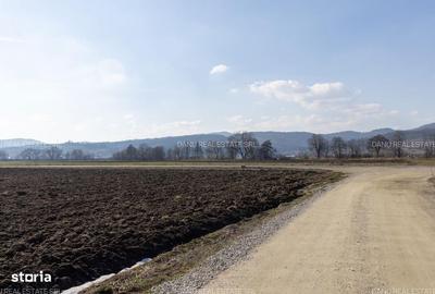 Teren de 19239 mp, în Vulcan - 3