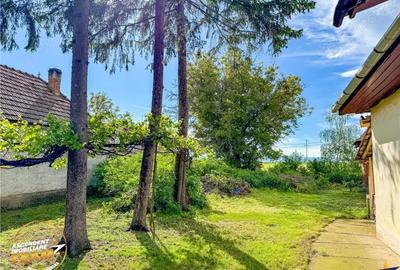 FILM! Casa pitoreasca + anexe + 1.500mp teren, Santionlunca, Covasna - 2