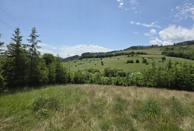 Teren splendid Garcina - 2