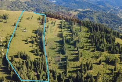 Teren extravilan de 47732 mp, în Panaci - 2