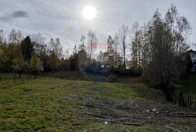 Teren de Vis in Bran - 1000mp Plat, Liniste Absoluta si Aer Curat - 18