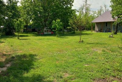 Casă cu 5 camere cu Teren 1900 Mp în Radu Vodă - 2