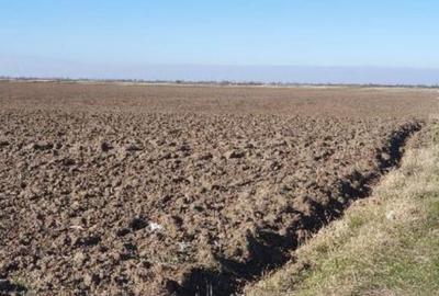 Teren extravilan- Com. Siria, jud. Arad - 5