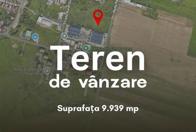Teren de 9939 mp, în Micălaca - 3