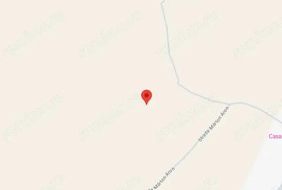 Teren extravilan Com. Vlahita, jud. Harghita - 2