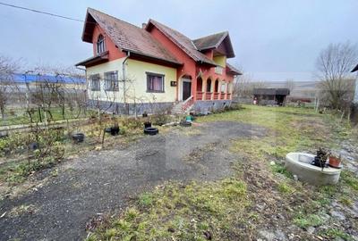 Proprietate speciala in Apahida, casa 206 mp utili, 3000 mp, 25 ml front - 2