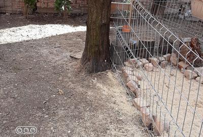 Casă cu 5 camere cu Canalizare în Giulești - 5