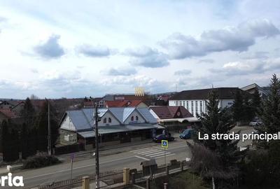 Spațiu comercial, de 273 mp, în Șcheia - 3