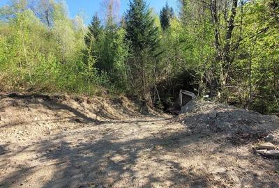 Teren de 5000 mp, în Ceahlău - 8