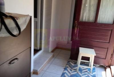 Movilita - vanzare casa 5 cam plus livada pe rod si teren 1800 mp - 37