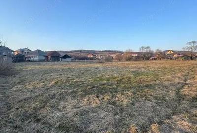 Casă cu Teren 4000 Mp în Central - 5