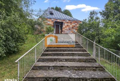 Casă cu 6 camere cu Teren 3300 Mp în Cornu - 18