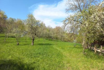 Teren de 1950 mp, în Breaza - 5