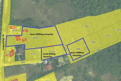 Teren Construcții intravilan de 910 mp, în Bârnova - 7