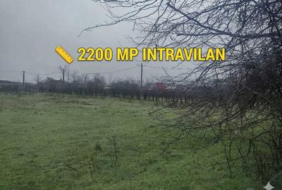 Teren de 2205 mp, în Cocora - 5