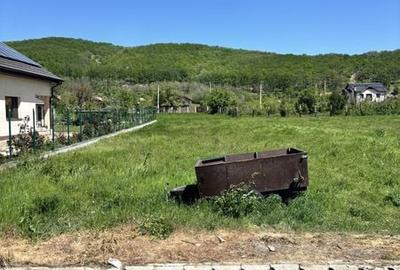 Teren de 750 mp, în Izvoru Bârzii - 3