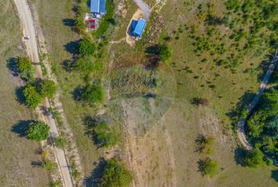 Teren de 6014 mp, în Holbav - 10