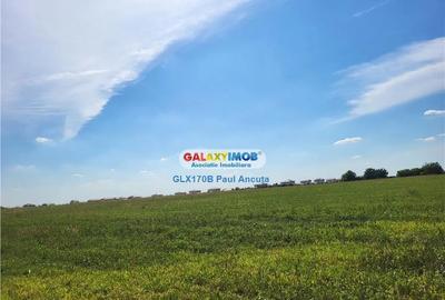 Teren de 10300 mp, în Balotești - 2