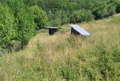 Casă cu 3 camere în Vadu Oii - 5