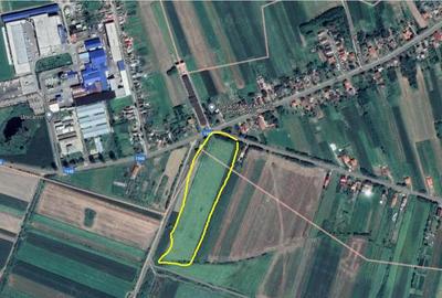 Teren de 28000 mp, în Vetiș - 3