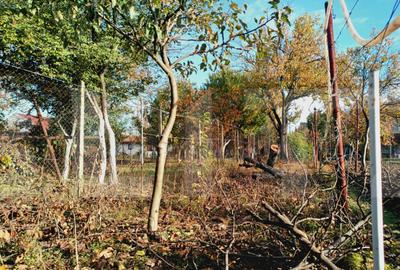 Casa 2 camere, 50 mp, zona Fratelia - 2