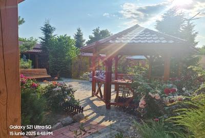 Casă cu 10 camere cu Canalizare în Teișori - 29