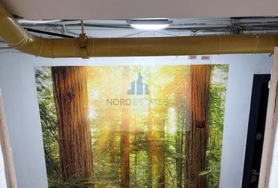 Apartament cu 2 camere în P-ța Victoriei - 6